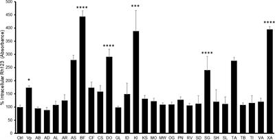 Effects of Selected Nigerian Medicinal Plants on the Viability, Mobility, and Multidrug-Resistant Mechanisms in Liver, Colon, and Skin Cancer Cell Lines